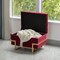 Rectangle Velvet Storage Ottoman Stool Box with Abstract Golden Legs | Decorative Sitting Bench for Living Room Home Decor with Unique Base Support